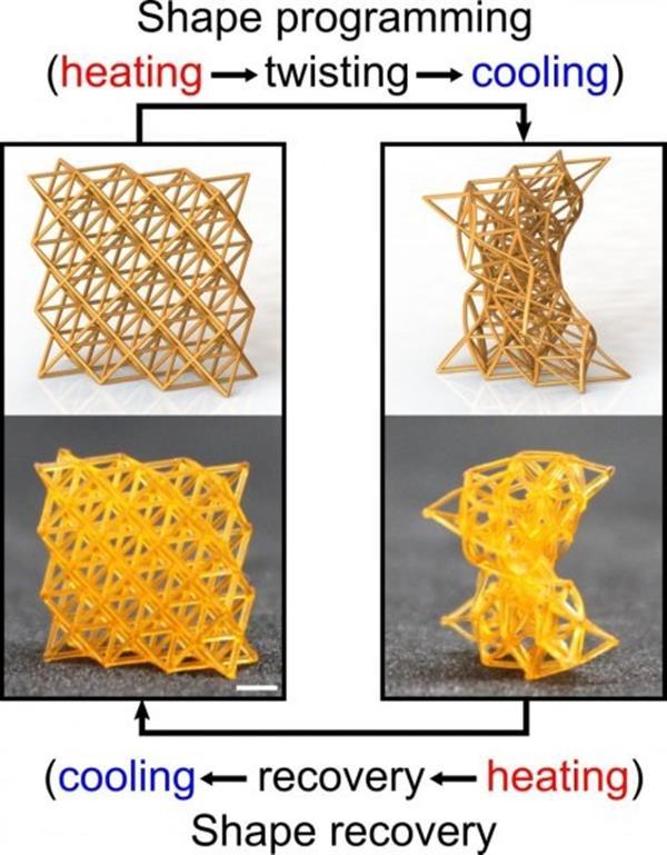 3D号码预测