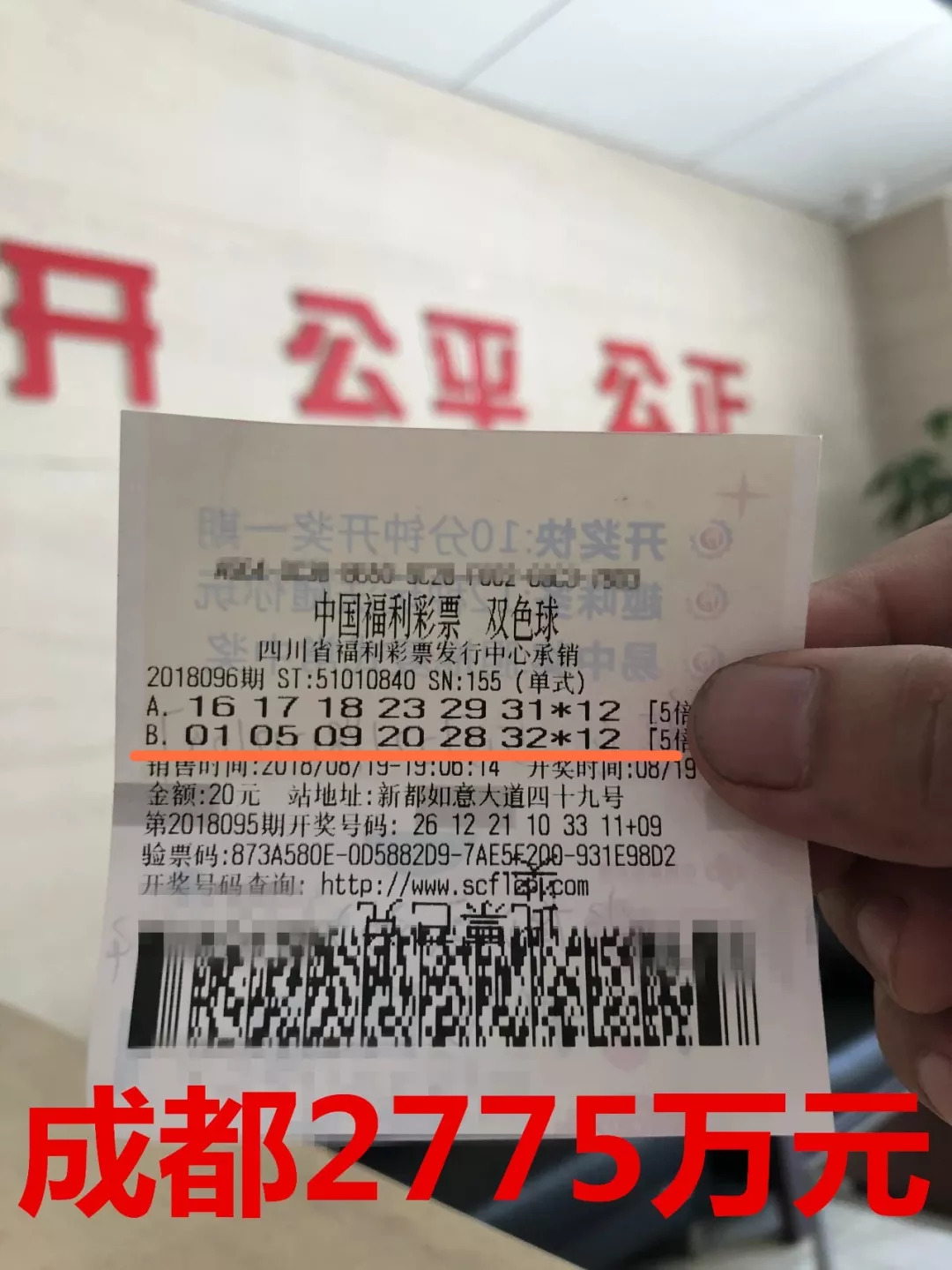 四川福彩七乐彩，揭秘最新开奖结果与公益力量