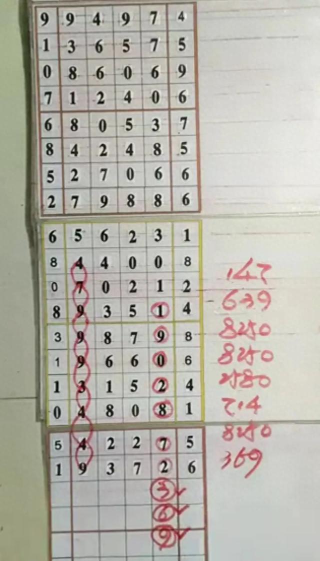 今晚排列5开奖号码揭秘，直播中的数字盛宴
