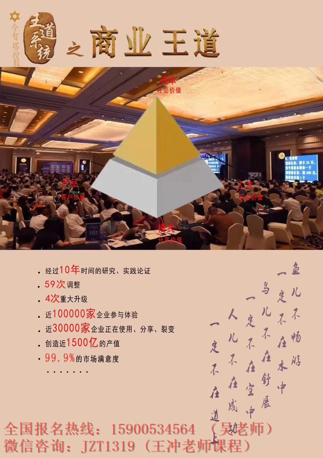 王中王资料精选，揭秘成功背后的智慧与策略