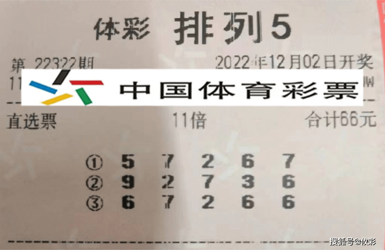 山东体彩排列五论坛，探索数字背后的智慧与乐趣