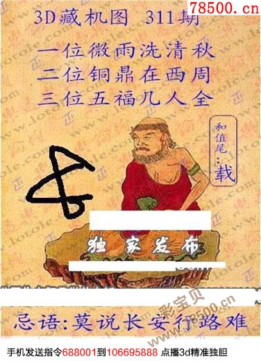 今日揭秘，3D藏机图正版解读—第311期深度剖析
