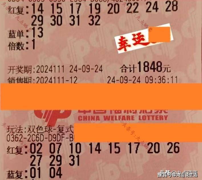双色球中奖票图片，幸运的瞬间与生活的微光