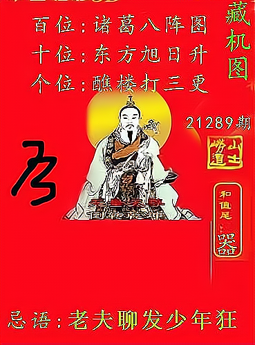 揭秘天中图库3D藏机图谜，一场视觉与智慧的盛宴