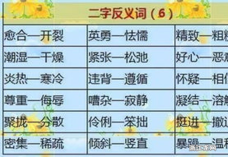 连裤袜 第23页