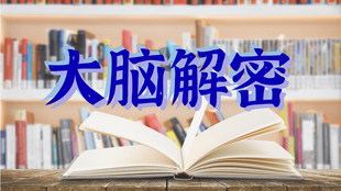 蓝月亮精选资料大全，打造高效学习与工作的智慧宝库