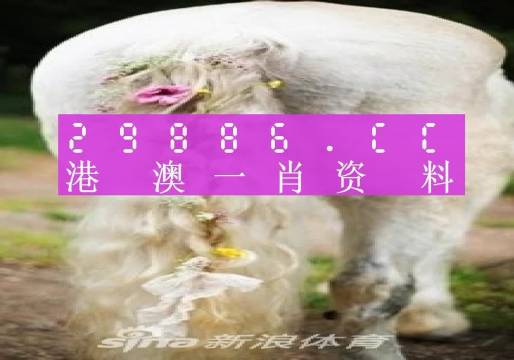 澳门一肖一码准选一码2023年，揭秘与展望
