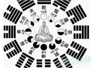 生辰八字自动计算器，现代科技与传统文化的完美融合
