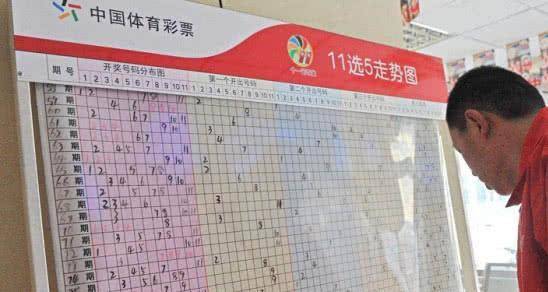 探索浙江风采网，华东十五选五走势图中的数字奥秘与彩民智慧