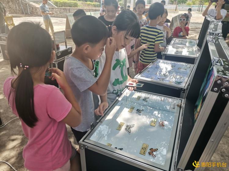 福彩3D专家推荐，精准号码的奥秘与策略