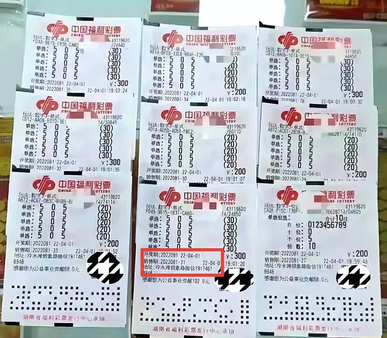 探索3D图彩票，数字与图形的奇妙结合
