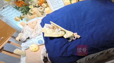 富婆的独特视角，一肖一特146的背后故事