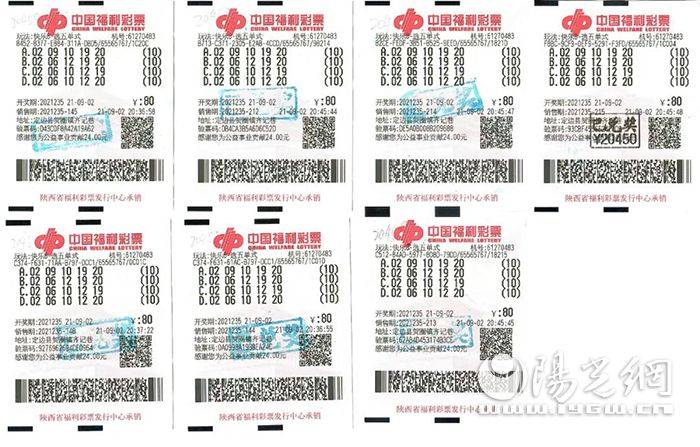 2023年福彩字谜图谜论坛，解密数字背后的智慧与乐趣