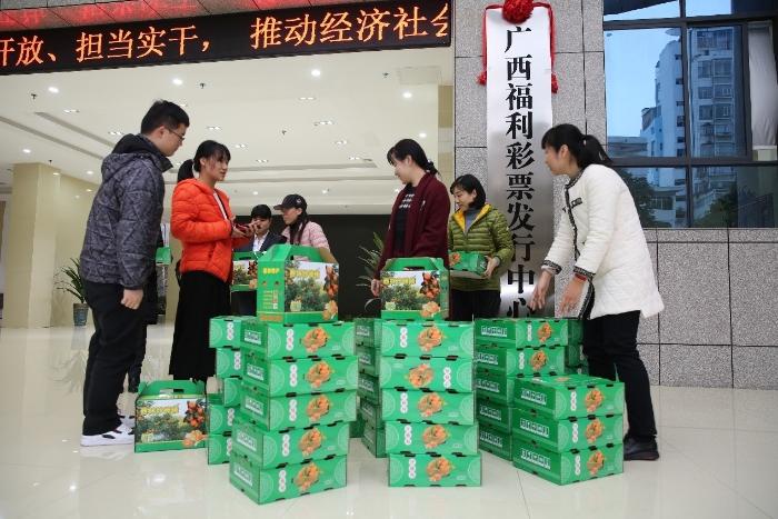福利彩票最新官宣，公益与梦想的双重助力